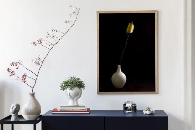 Fine Art Print of BALGA IN A WHITE VASE ON BLACK on your wall