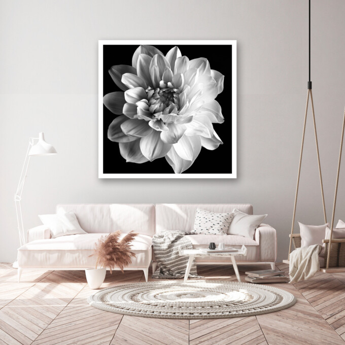 Fine art print of a dahlia - DELIGHT on your wall