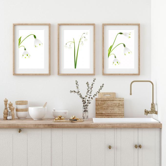 Fine art print of snowdrops - MILLY, MOLLY & MANDY on your wall