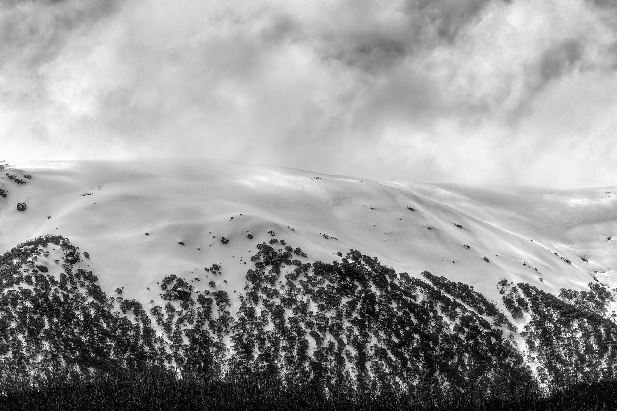 High Country I Rachel Dulson Fine Art Photography